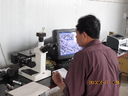 金相显微镜